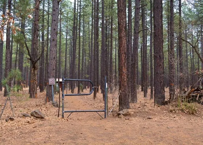 Summer Special-pinetop Cabin-great 4 Family * Pinetop-Lakeside